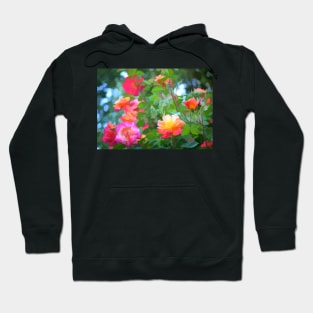 Rose 294 Hoodie